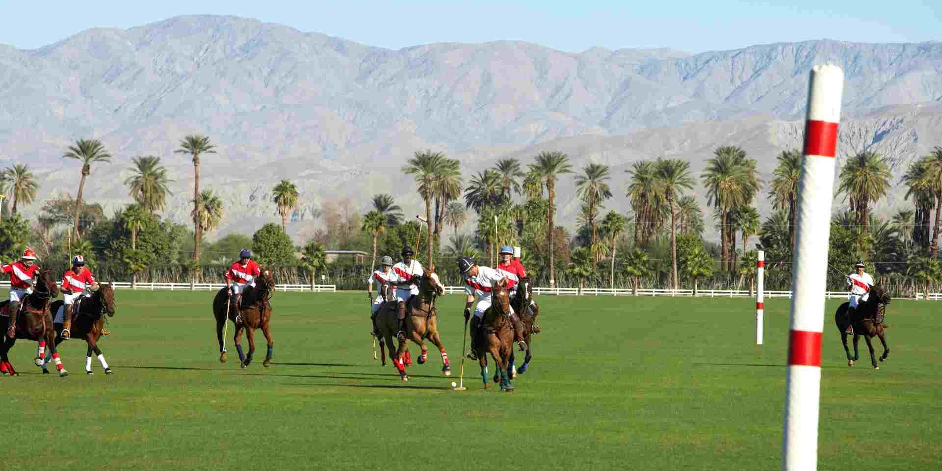 Tips for Beginners Starting Their Polo Journey Tips for Beginners Starting Their Polo Journey