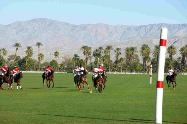 Tips for Beginners Starting Their Polo Journey Tips for Beginners Starting Their Polo Journey